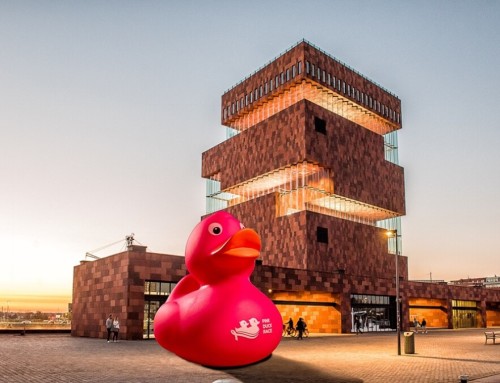 Vier de Pink Duck Race met steun van Anthony Cranes